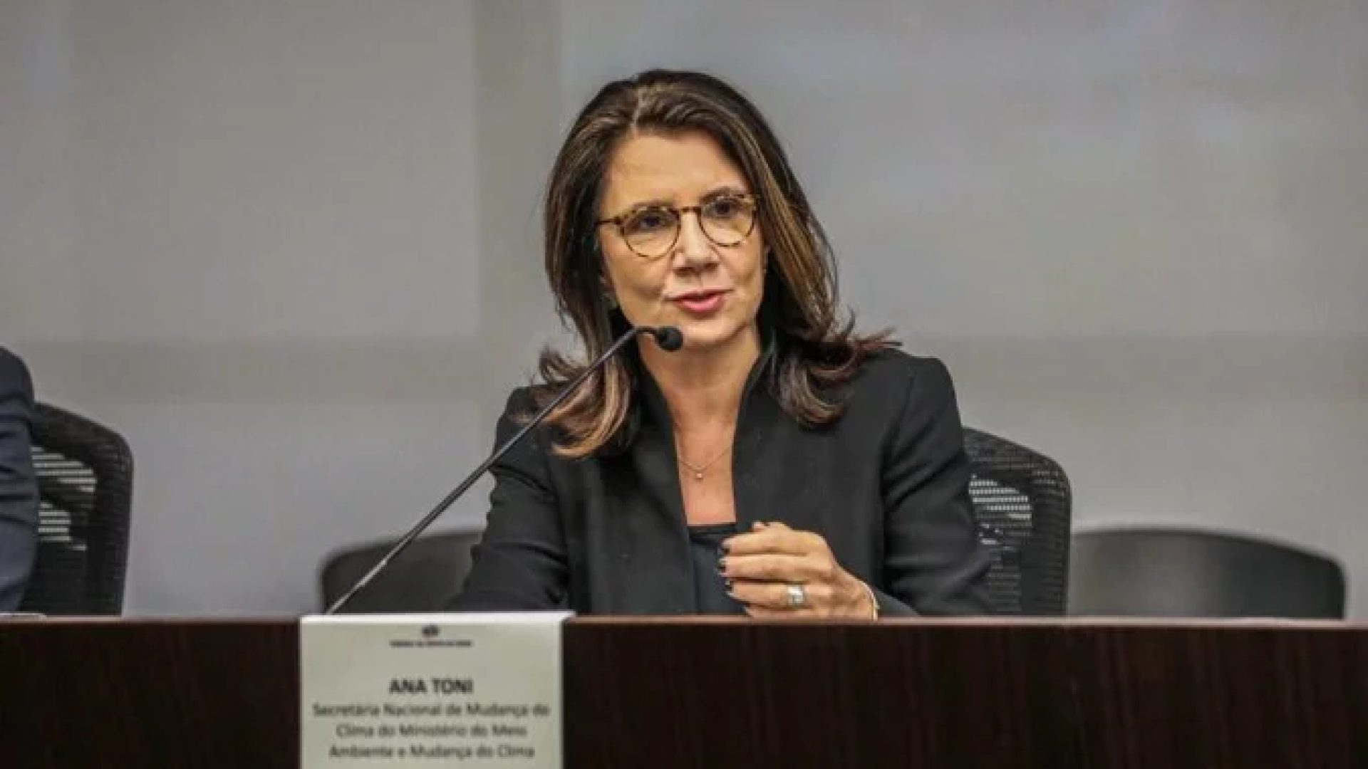Segundo Ana Toni, as lideranças indígenas devem se manifestar ao longo de todo o encontro -  (crédito: Rebeca Hoefler/MMA)