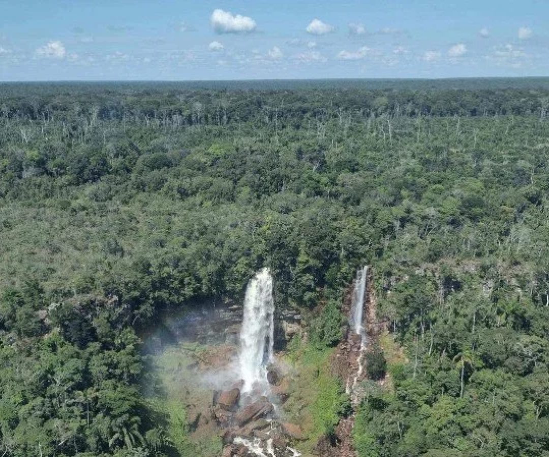 Rebio Nascentes da Serra do Cachimbo fica nas margens da BR-163 e é vizinha de terras indígenas -  (crédito: ICMBio/Divulgação)