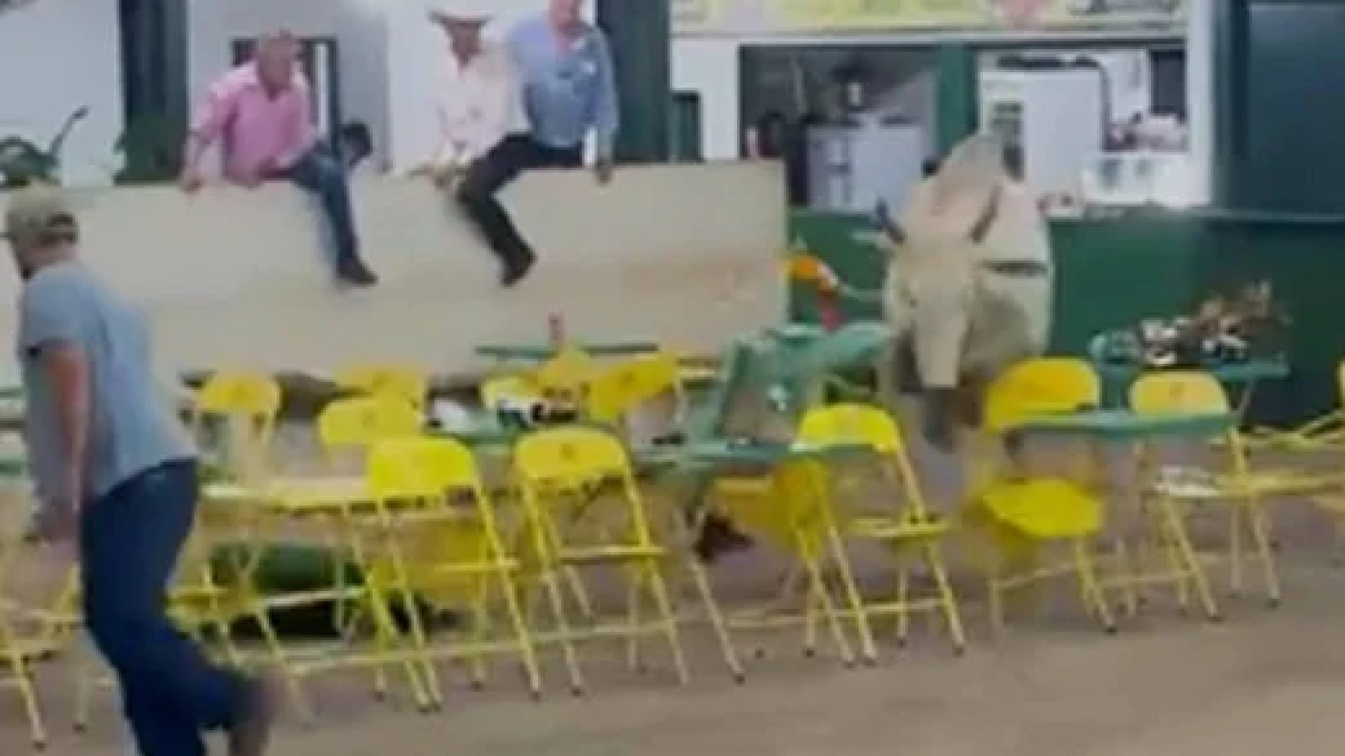 V&iacute;deo: boi pula cerca de leil&atilde;o em MG e provoca p&acirc;nico -  (crédito: Redes Sociais/Divulga&ccedil;&atilde;o)