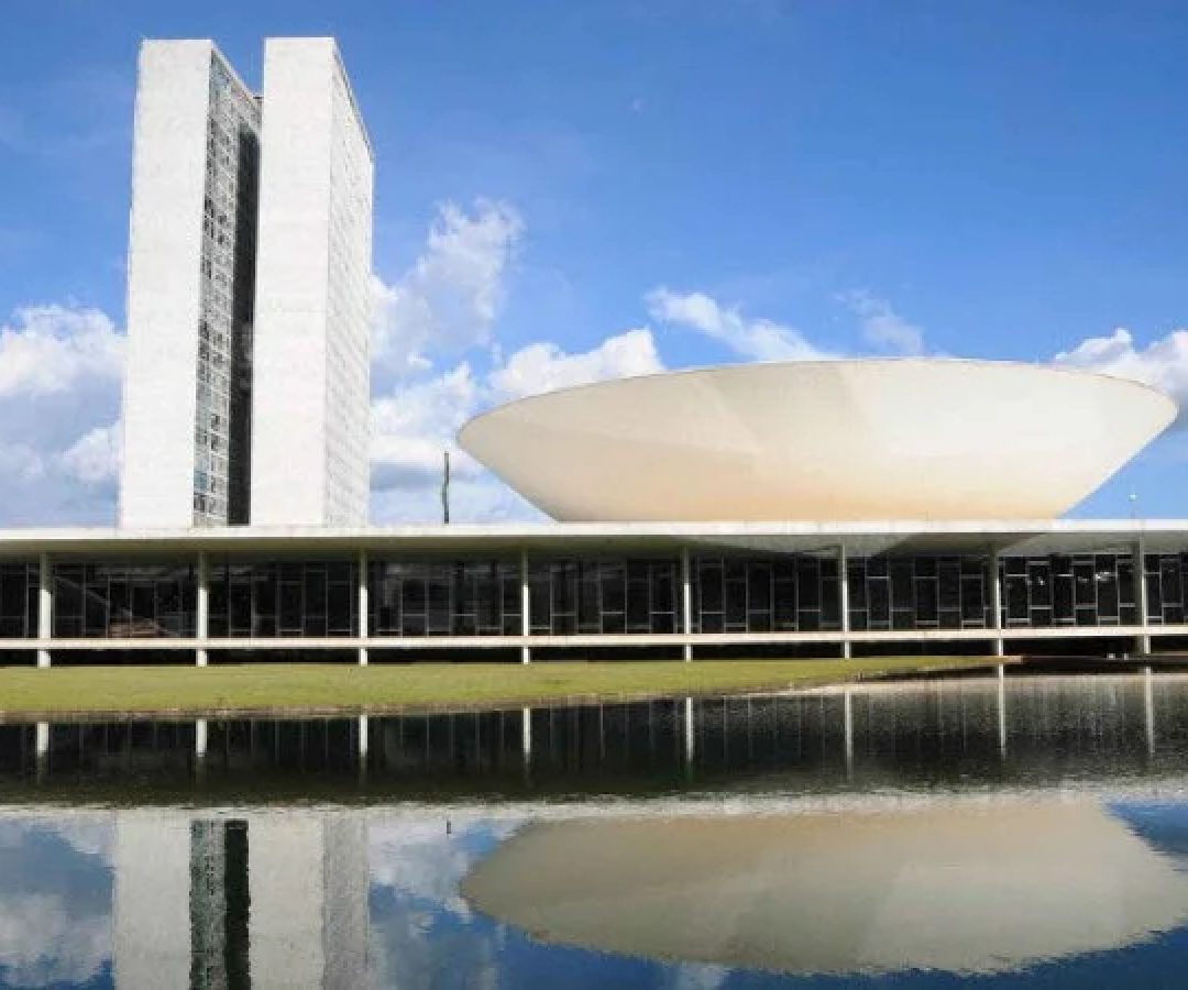 Câmara dos Deputados deve contemplar outras áreas, como jornalista, museólogo, engenheiro e médico -  (crédito: Reprodução/ Câmara dos Deputados)