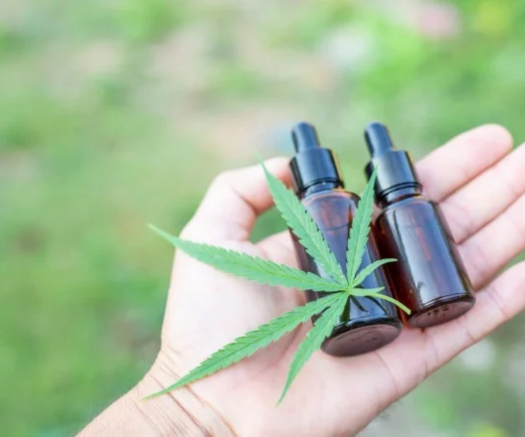 O STJ admite a possibilidade de uso medicinal em condições específicas, mas condiciona o cultivo, a produção e a comercialização à regulamentação prévia  -  (crédito: Reprodução/Freepik)