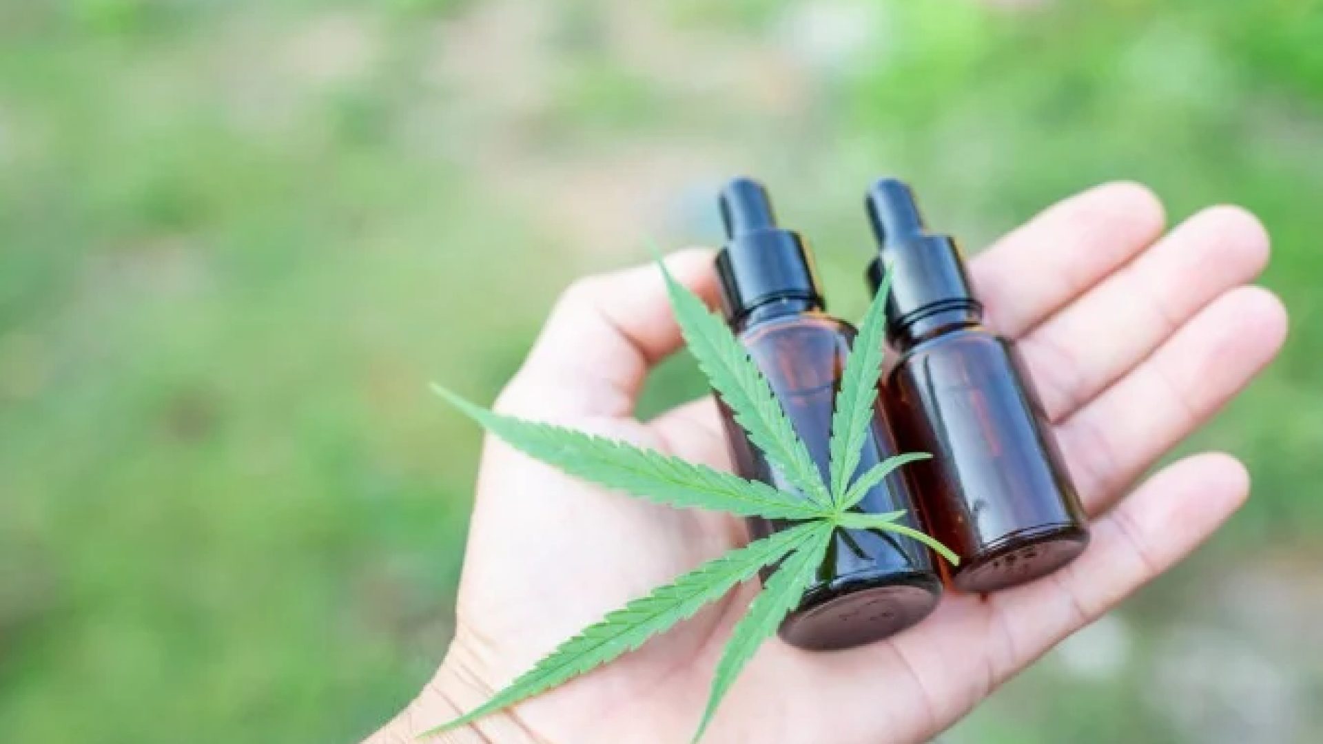 O STJ admite a possibilidade de uso medicinal em condições específicas, mas condiciona o cultivo, a produção e a comercialização à regulamentação prévia  -  (crédito: Reprodução/Freepik)