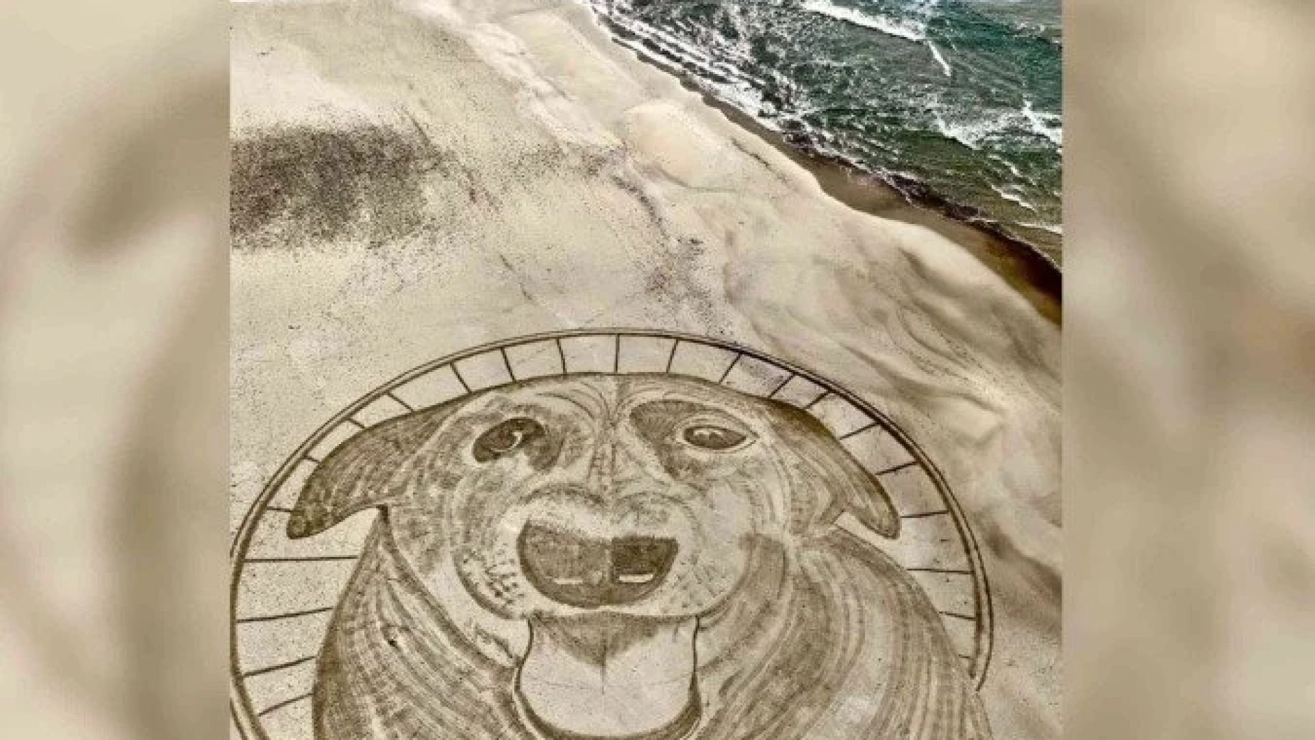 O artista Cleyton Balduíno fez um desenho em homenagem ao Cão Orelha, nas areias da praia da Galheta, em Florianópolis. A imagem possui cerca de 40m e demorou 2h para ficar pronta -  (crédito: Cleyton Balduíno/Reprodução)