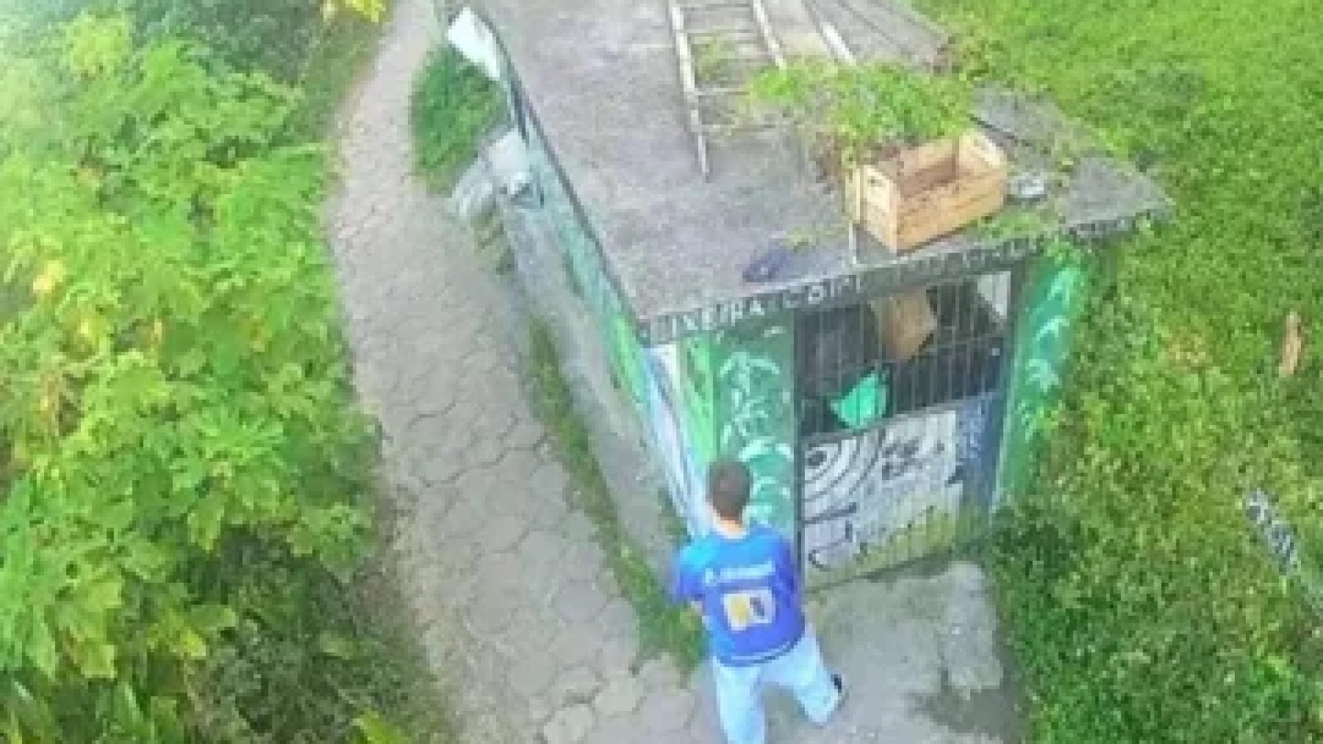 Giovane Correa também é suspeito de outro estupro cometido contra uma idosa, em 2022 -  (crédito: Reprodução)