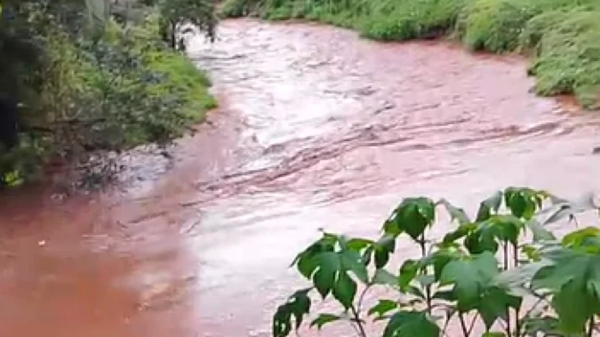 Nível do Rio Preto, também conhecido como Rio Goiabeiras, subiu acima do normal ainda na tarde de sábado (24/1) -  (crédito: Redes Sociais/Reprodução)