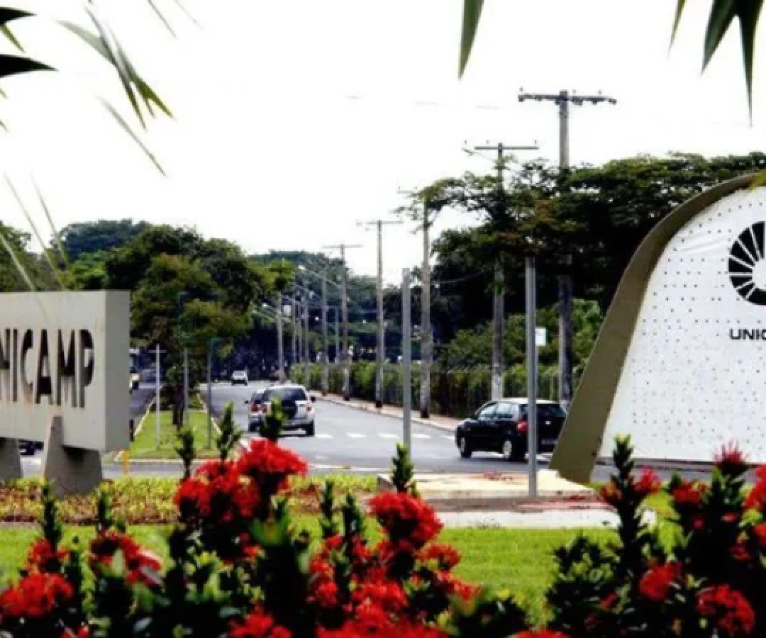 Faixada da frente da Universidade Estadual de Campinas (Unicamp) Soledad Palameta Miller -  (crédito: Reprodução / Google Maps)