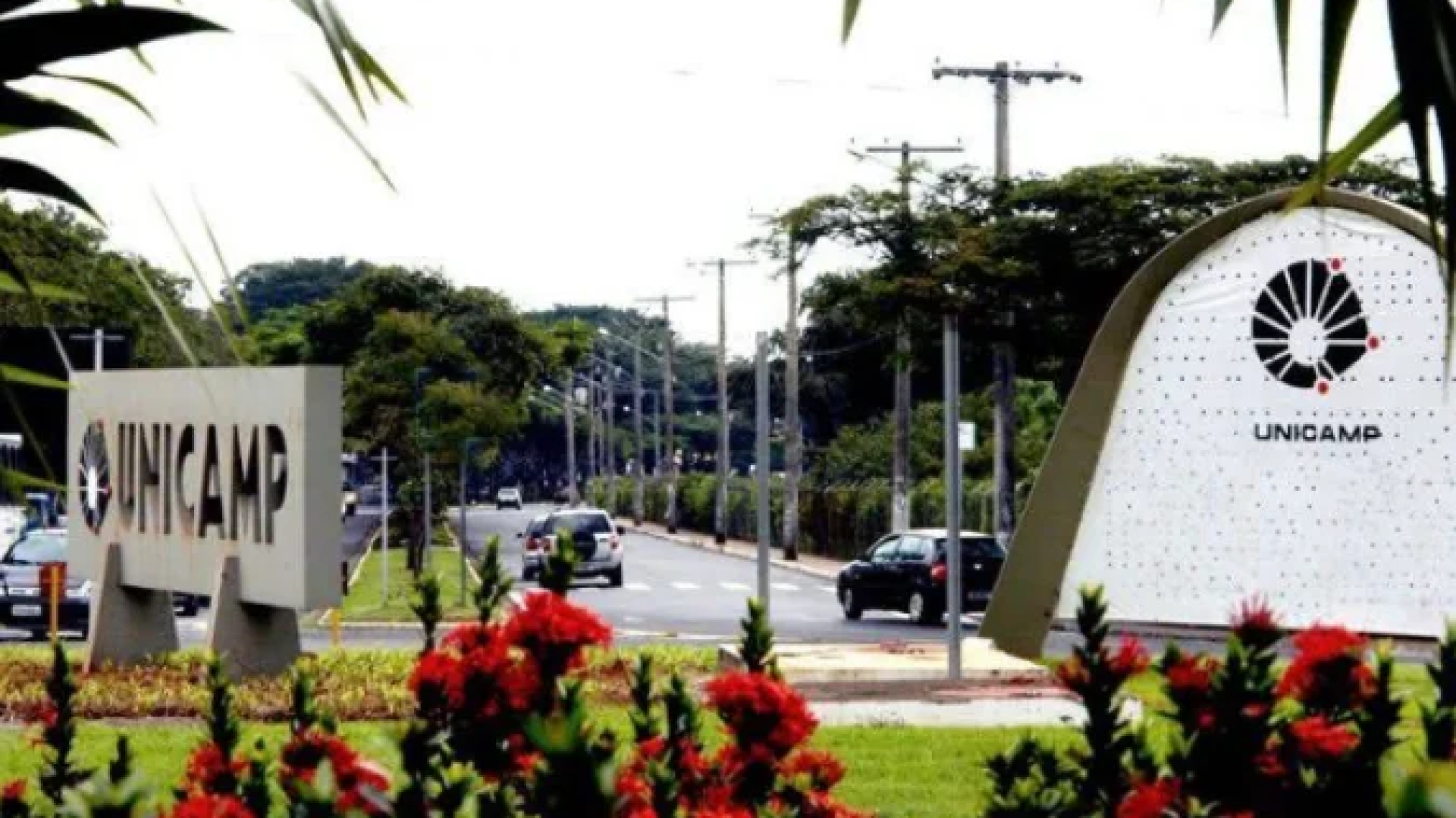 Faixada da frente da Universidade Estadual de Campinas (Unicamp) Soledad Palameta Miller -  (crédito: Reprodução / Google Maps)