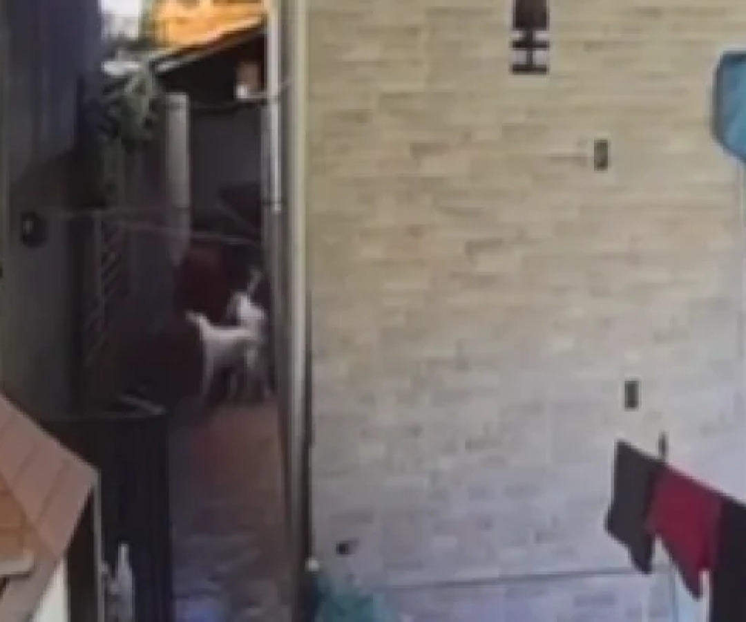 O suspeito disse que em uma próxima ocasião,