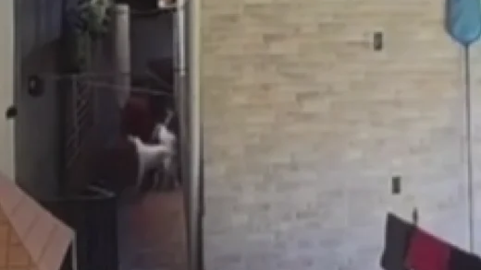 O suspeito disse que em uma próxima ocasião,
