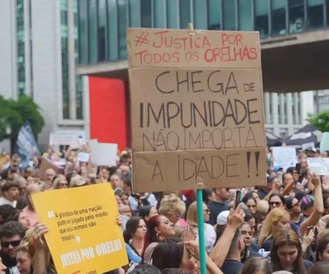 Em SP, população se reuniu na Avenida Paulista. Manifestantes cobraram punições severas aos suspeitos -  (crédito: Reprodução/redes sociais)