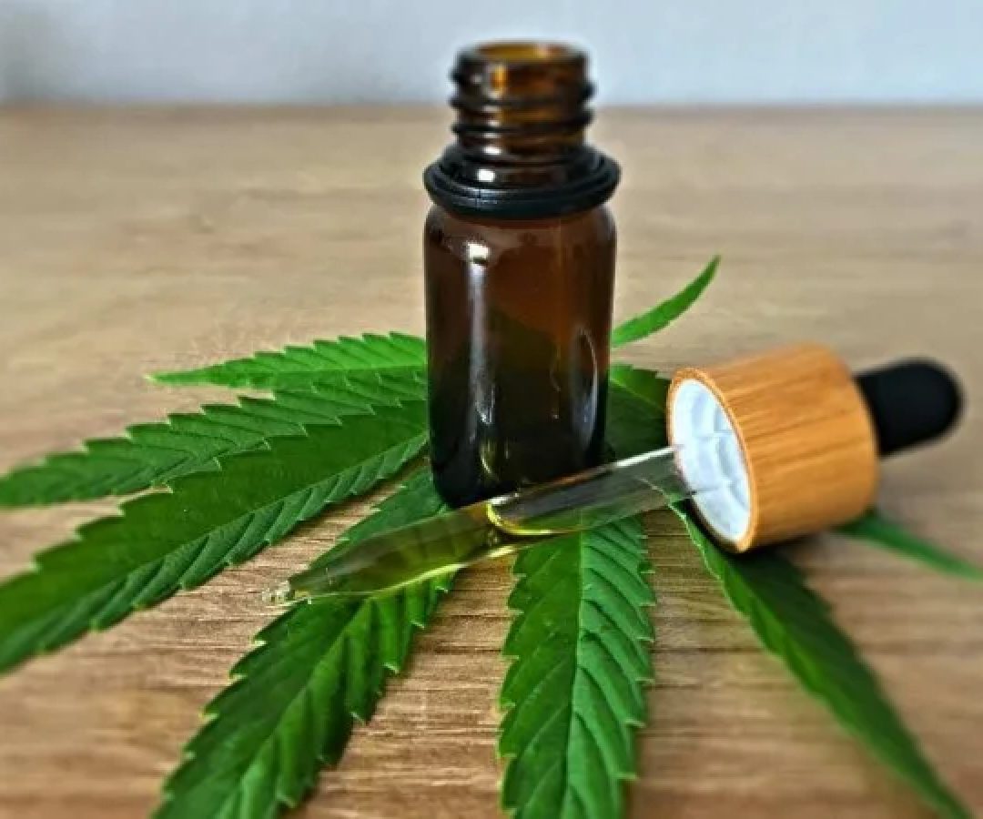 A planta psicoativa poderá ser cultivada no Brasil -  (crédito: Reprodução/Unplash)