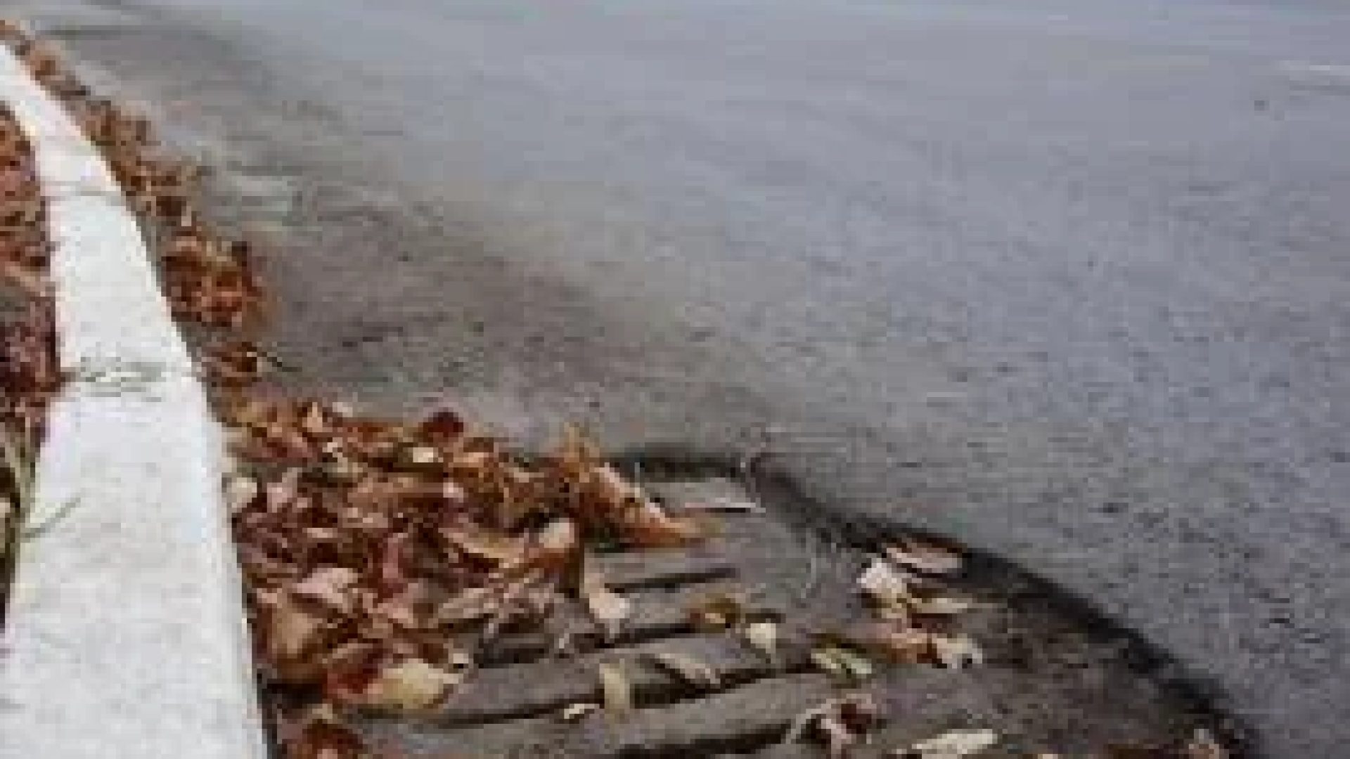 Nas capitais, houve baixo percentual de moradores em vias com bueiro ou boca de lobo nas favelas de Campo Grande, Teresina, São Luís e Brasília -  (crédito: Vinicius Cardoso Vieira/Esp. CB/D.A Press)