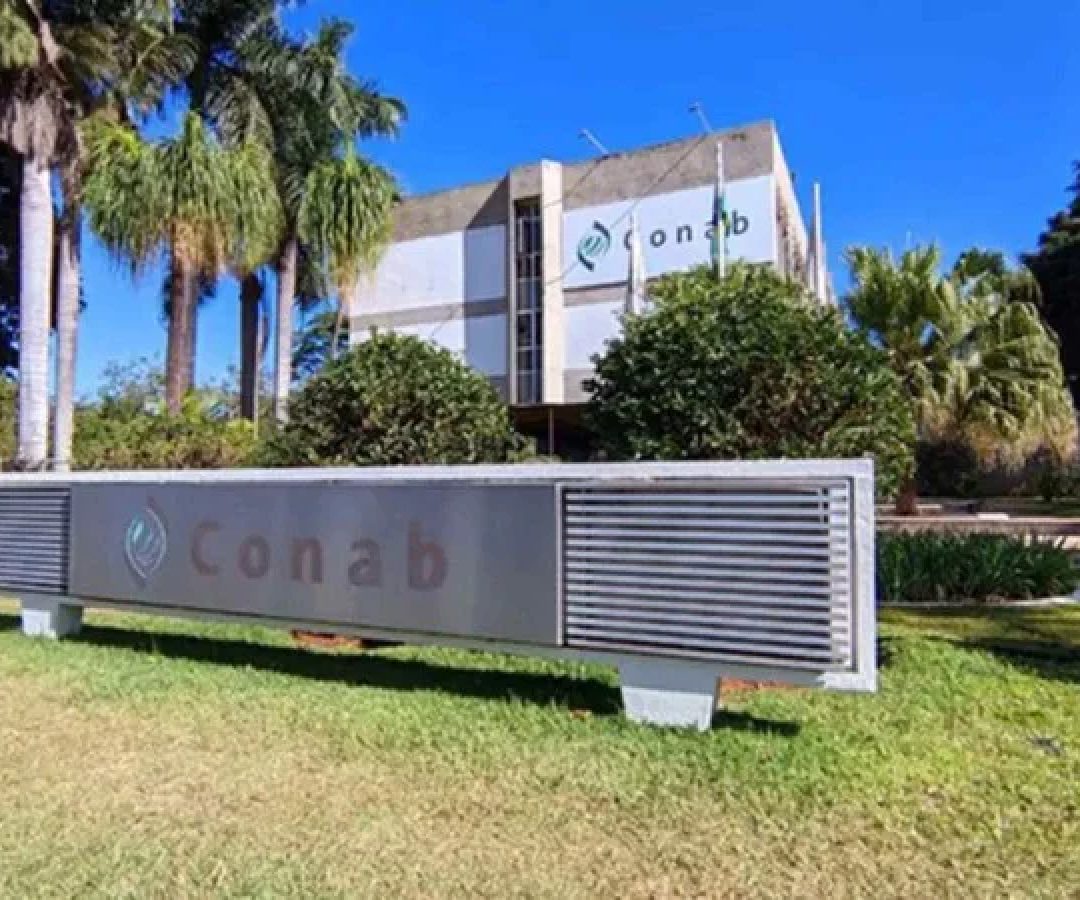 A aplicação das provas ocorreu em 13 de julho -  (crédito: SINDSEP-DF/DIVULGAÇÃO)