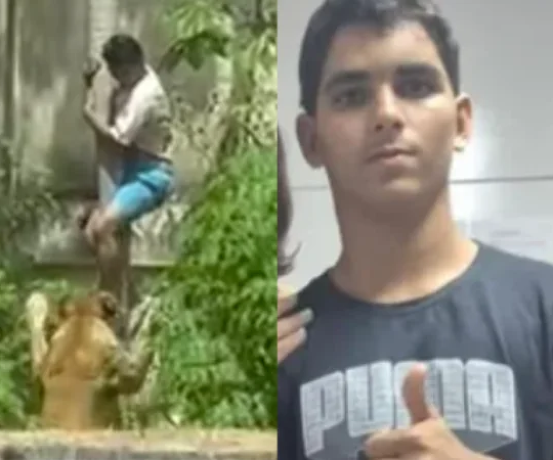 Jovem foi morto após invadir jaula de leoa em zoológico de João Pessoa -  (crédito: Reprodução)