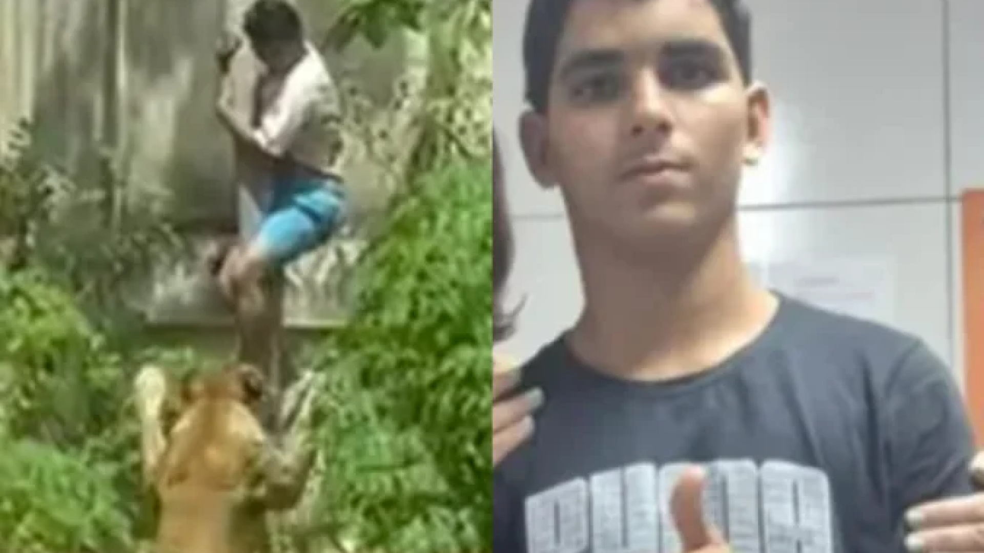 Jovem foi morto após invadir jaula de leoa em zoológico de João Pessoa -  (crédito: Reprodução)