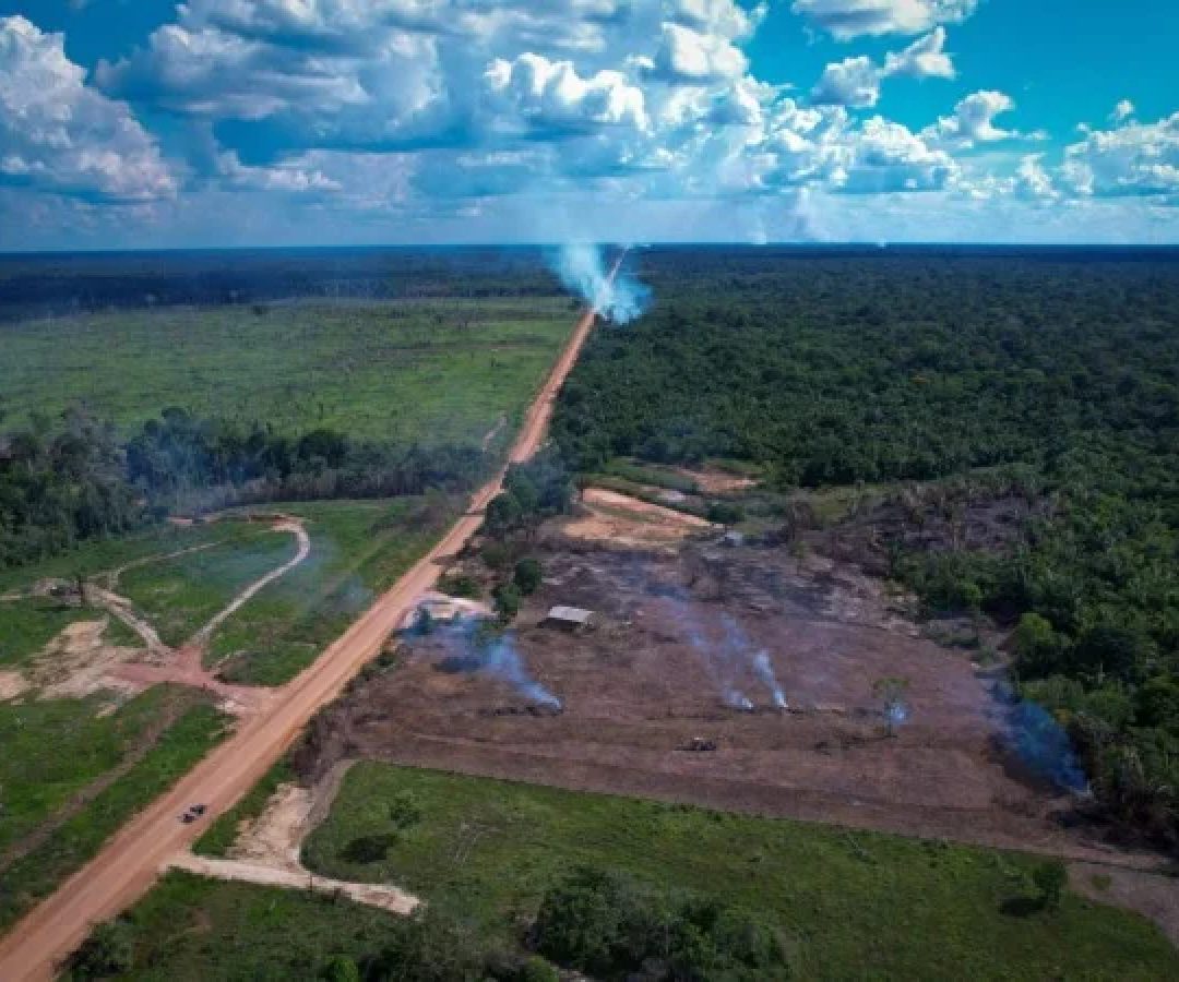 Ramais que cortam a BR-319 abre caminho para atividades ilegais como desmatamento e grilagem de terras -  (crédito: Orlando K. Júnior/Observatório da BR-319)
