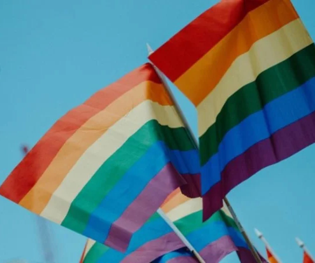 Os ataques transf&oacute;bicos no Brasil aumentaram 30% desde 2022, segundo o grupo SOS Homophobie -  (crédito: Daniel James Unsplash)