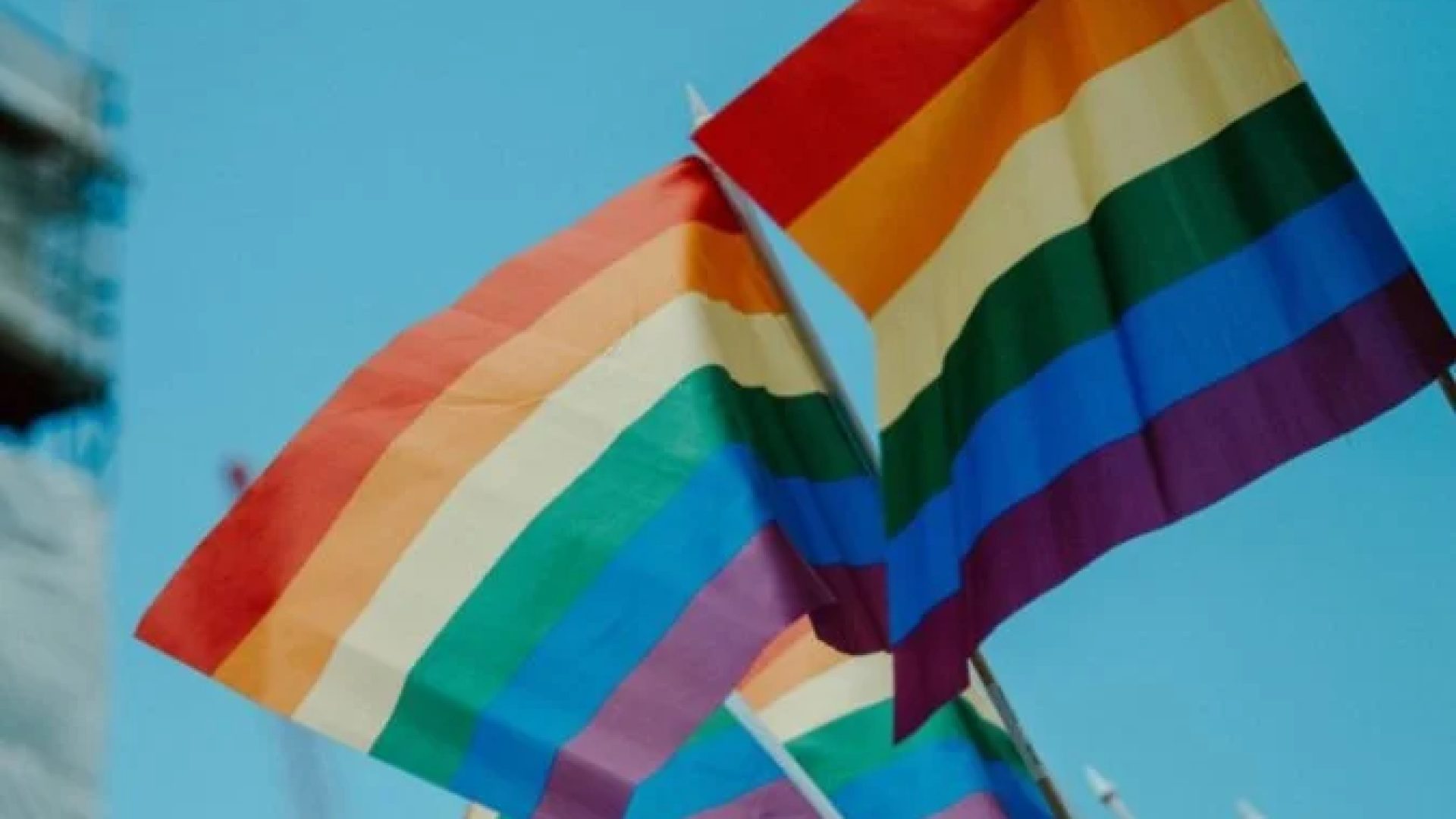 Os ataques transf&oacute;bicos no Brasil aumentaram 30% desde 2022, segundo o grupo SOS Homophobie -  (crédito: Daniel James Unsplash)