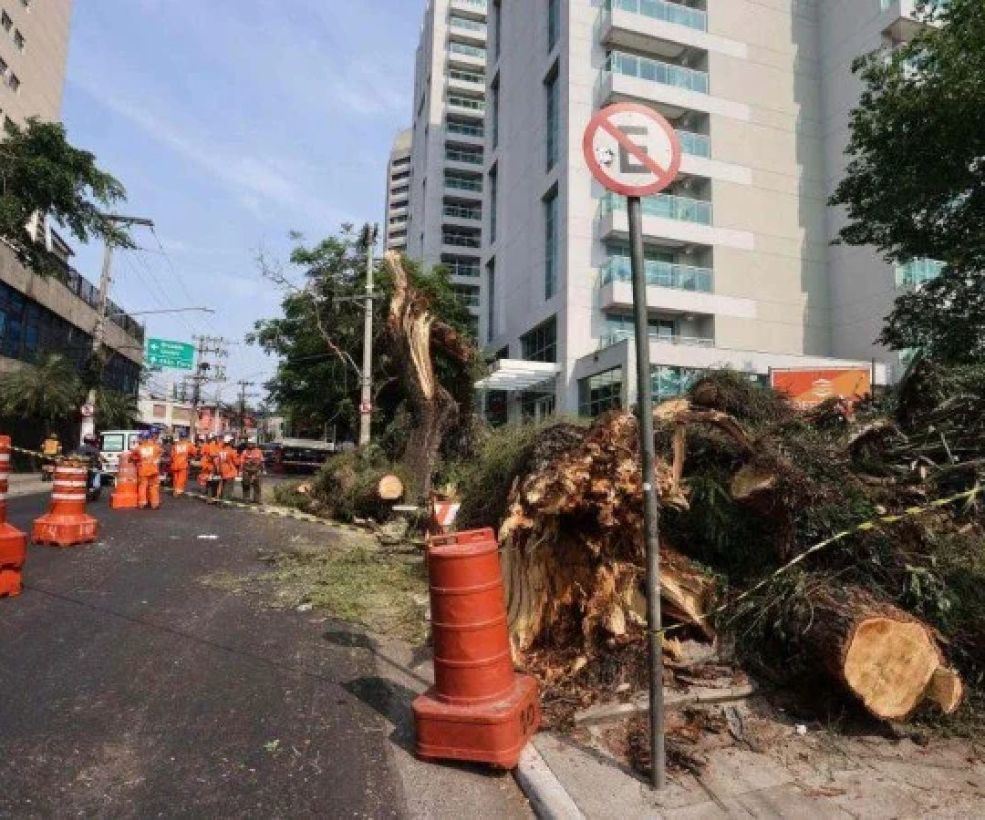 Passagem de um tornado pelo Paraná em novembro deixou seis mortos e mais de 1.000 pessoas desalojadas  -  (crédito: Corpo de Bombeiros)