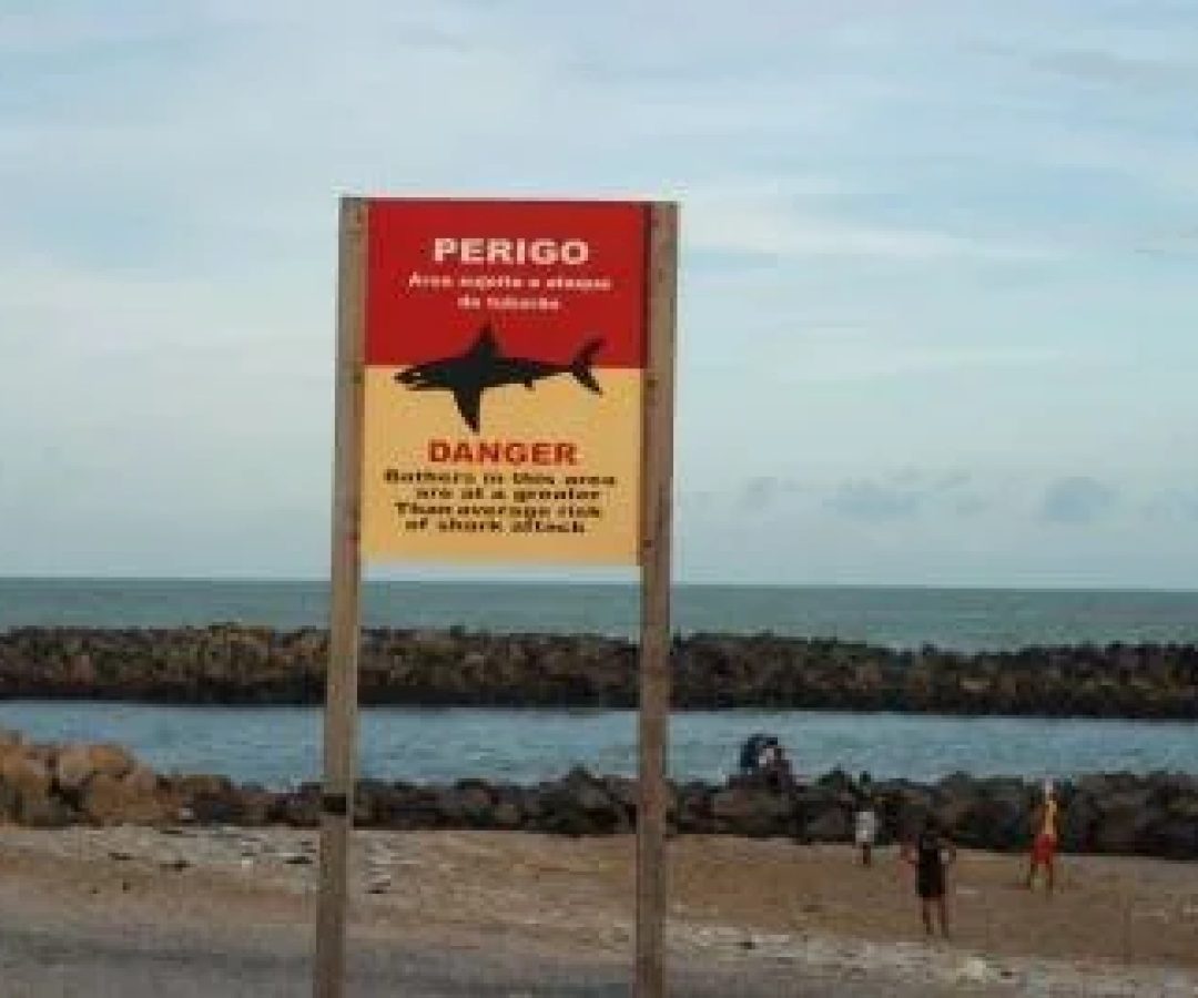 Placa qua alerta perigo sobre presença de tubarões na praia Del Chifre, em Olinda, Pernambuco -  (crédito: Juliana Leitão/DP/D.A Press)