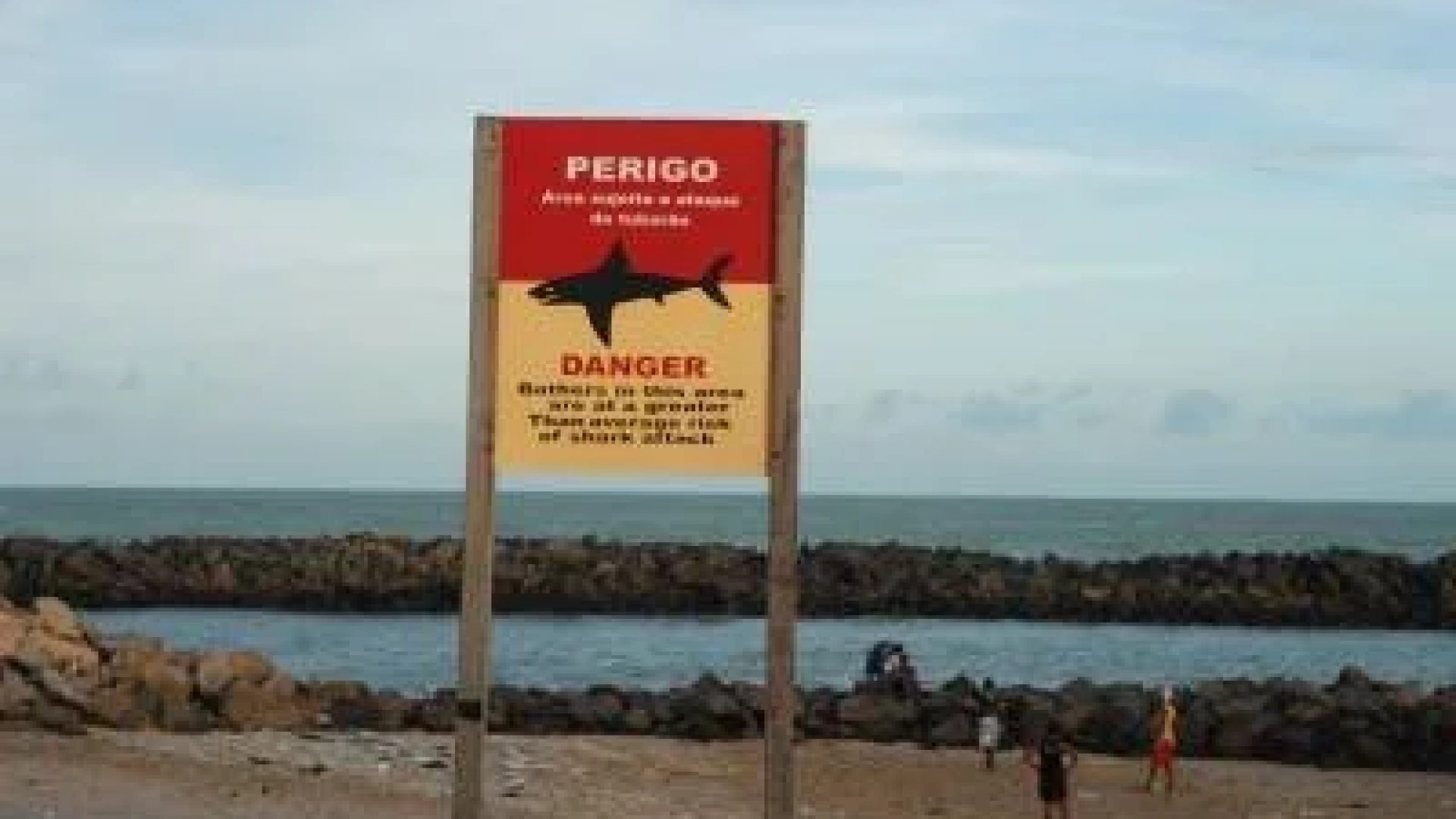 Placa qua alerta perigo sobre presença de tubarões na praia Del Chifre, em Olinda, Pernambuco -  (crédito: Juliana Leitão/DP/D.A Press)