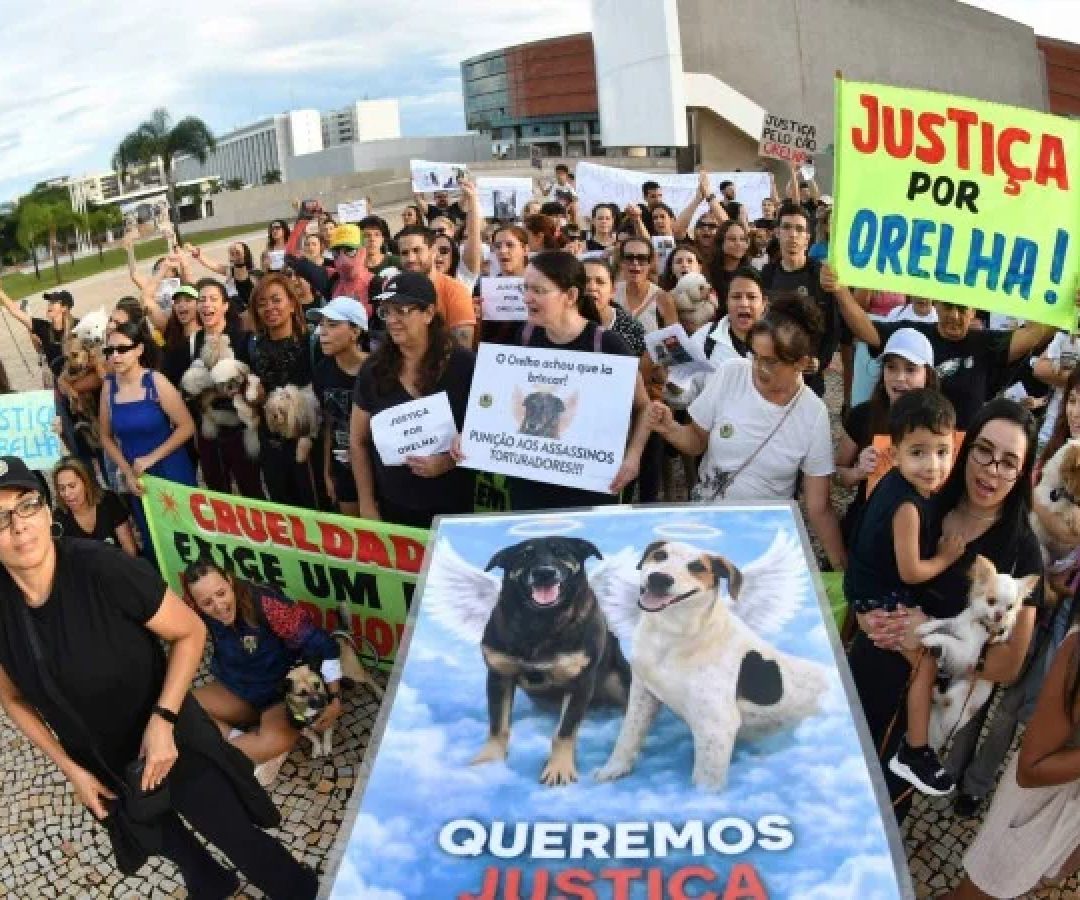 Protesto - Justi&ccedil;a por Orelha  -  (crédito: Divulgação)