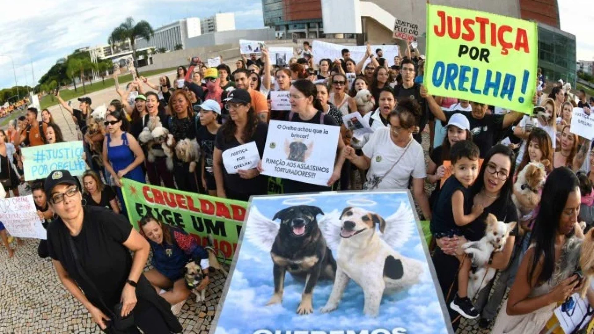 Protesto - Justi&ccedil;a por Orelha  -  (crédito: Divulgação)