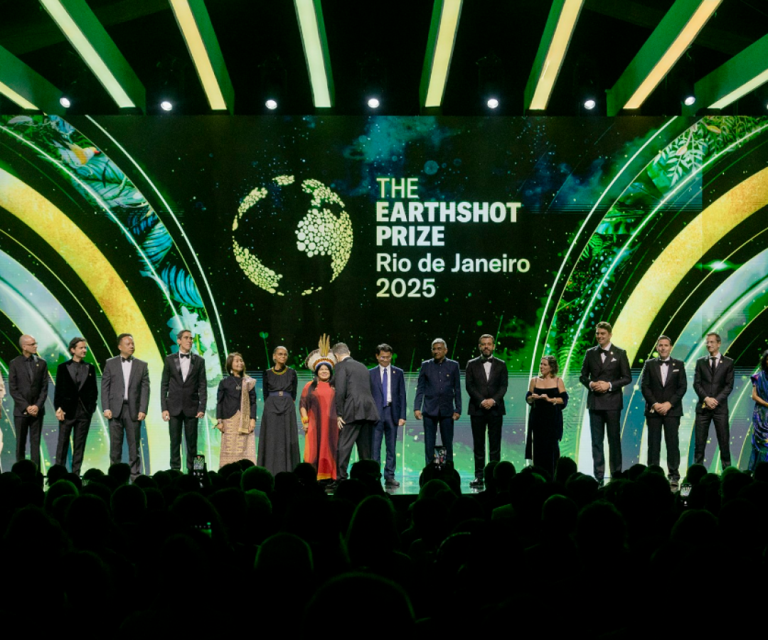 Reflorestamento com IA rende à startup brasileira o Eartshot Prize 2025, idealizado pelo Príncipe William -  (crédito: Earthshot Prize)