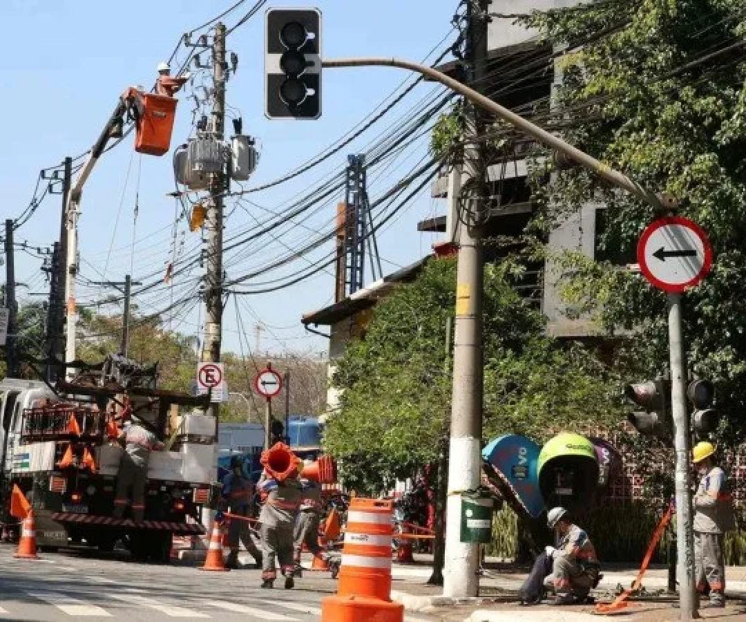 Chuvas e ventos intensos derrubaram árvores em SP e elas atingiram cabos da rede elétrica, o que causou problemas no fornecimento da energia -  (crédito: Rovena Rosa/Agência Brasil)