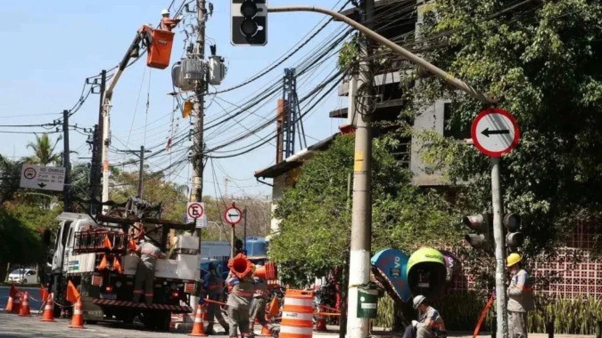 Chuvas e ventos intensos derrubaram árvores em SP e elas atingiram cabos da rede elétrica, o que causou problemas no fornecimento da energia -  (crédito: Rovena Rosa/Agência Brasil)