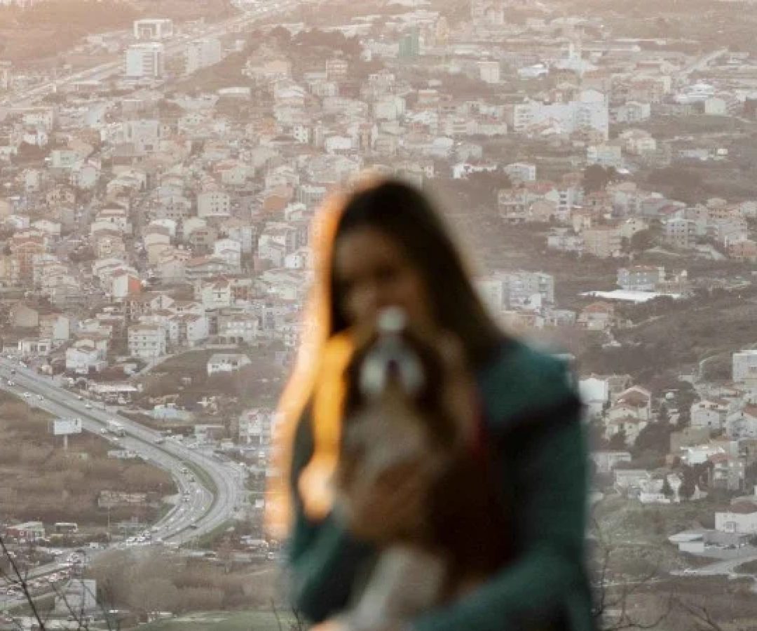 Mais de 70% das cidades pequenas não têm rede anti-violência, aponta estudo -  (crédito: Freepik)