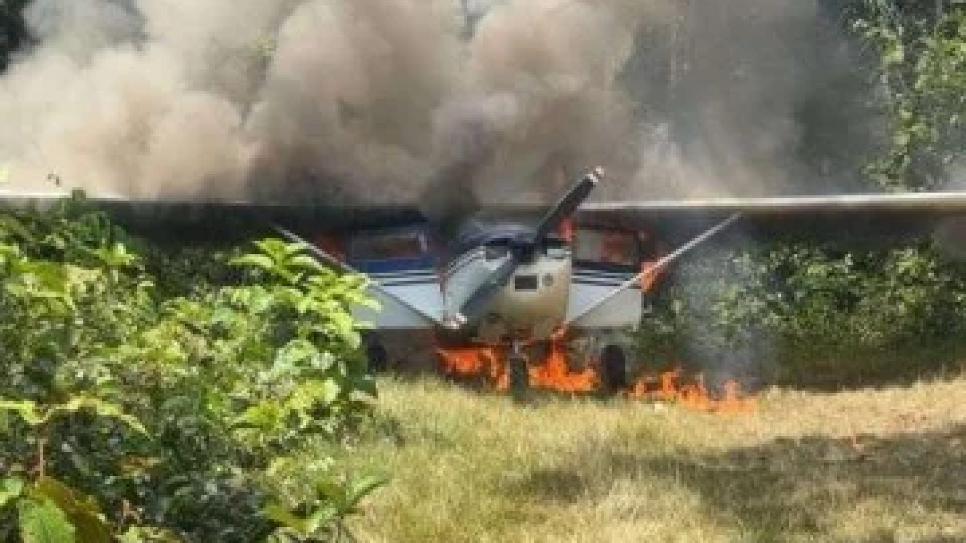 A Força Aérea Brasileira (FAB) interceptou e destruiu uma aeronave oriunda da Venezuela que sobrevoava a Terra Indígena Yanomami, na região amazônica -  (crédito: Reprodução/COMAE)