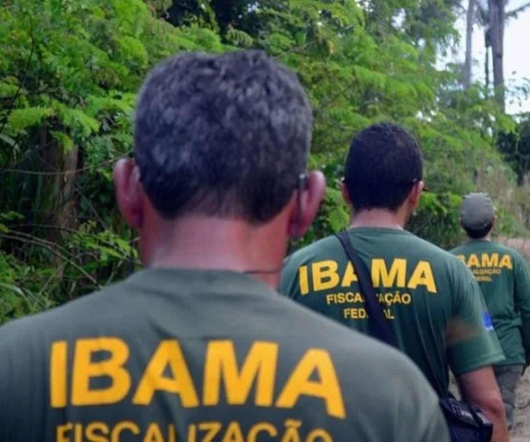 Trabalho da fiscalização ambiental é considerado crucial para o alcance das taxas de redução do desmatamento -  (crédito: wikimedia commons ibama)