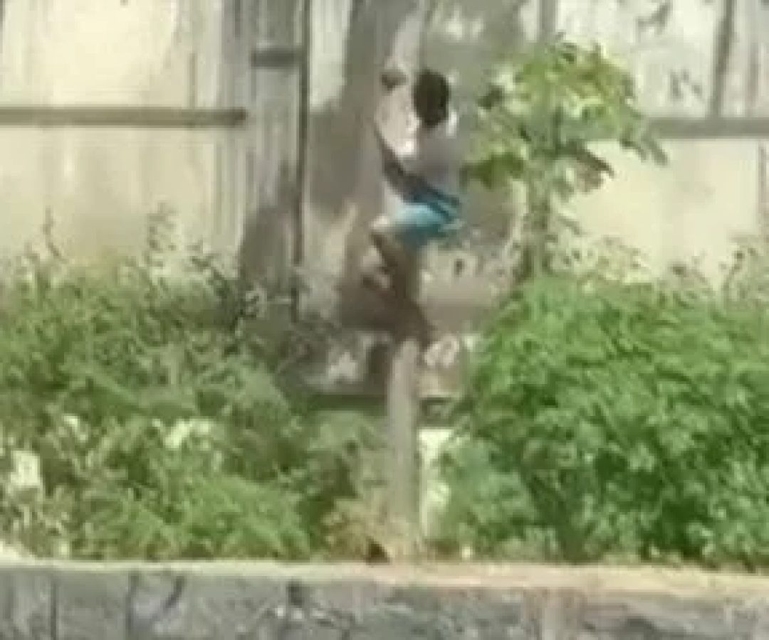 Após a ocorrência, o parque foi fechado para os procedimentos de segurança e a remoção do corpo, sem previsão de reabertura -  (crédito: Reprodução / Redes sociais)