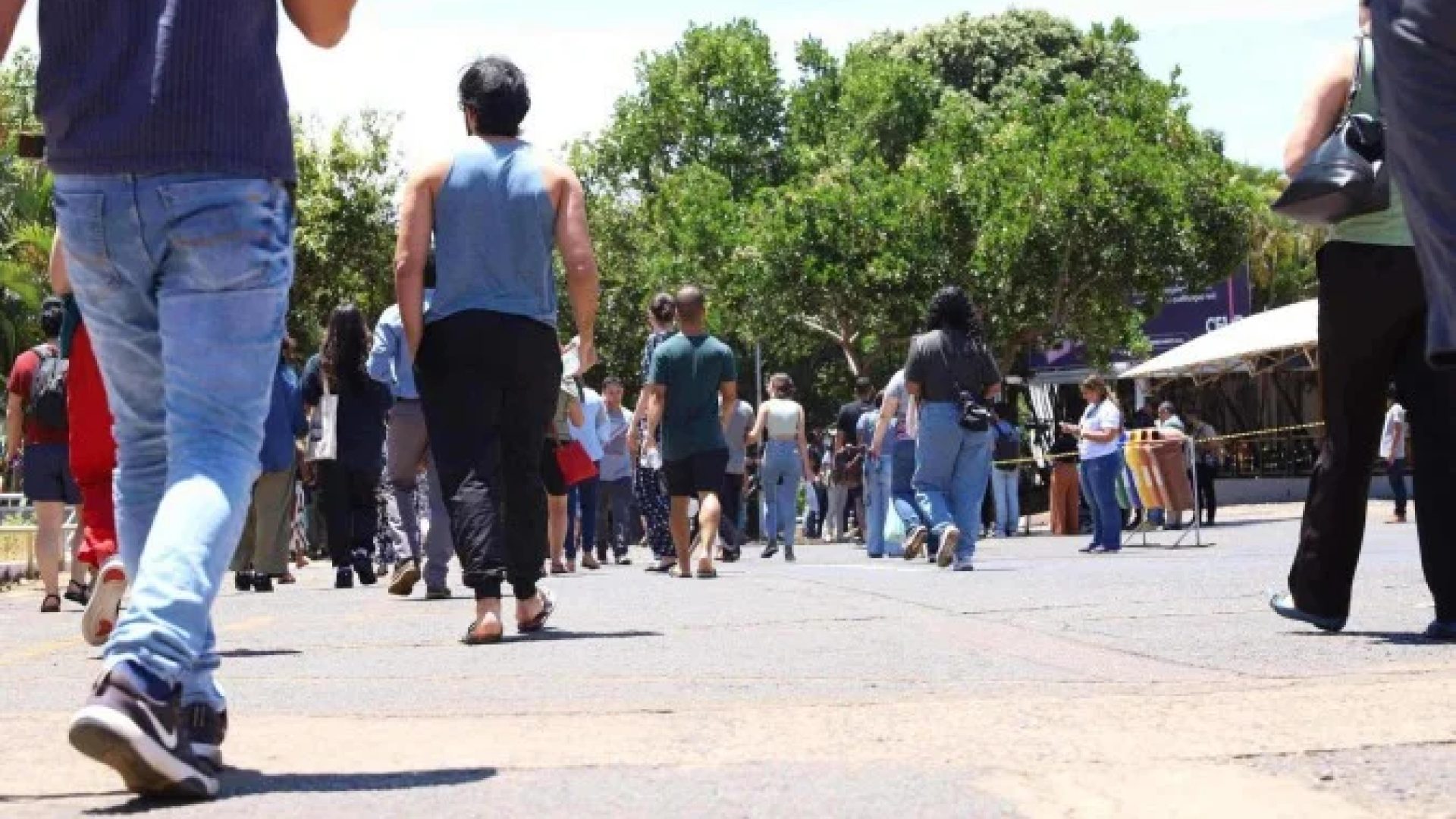 CPNU 2 oferece 3.652 vagas distribuídas entre 32 órgãos federais -  (crédito:  Mariana Campos/CB/D.A Press)