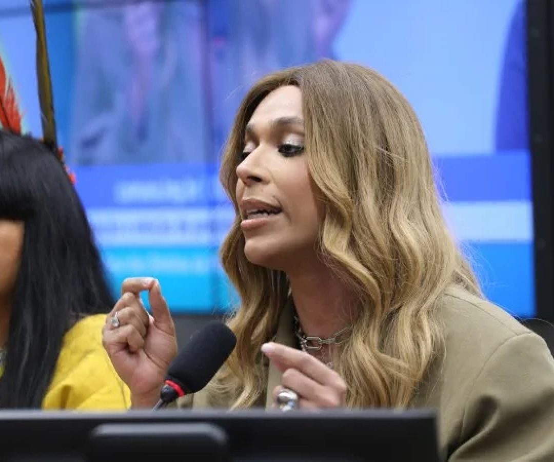 Deputada Erika Hilton (PSol-SP) -  (crédito: Kayo Magalhães/Câmara dos Deputados)