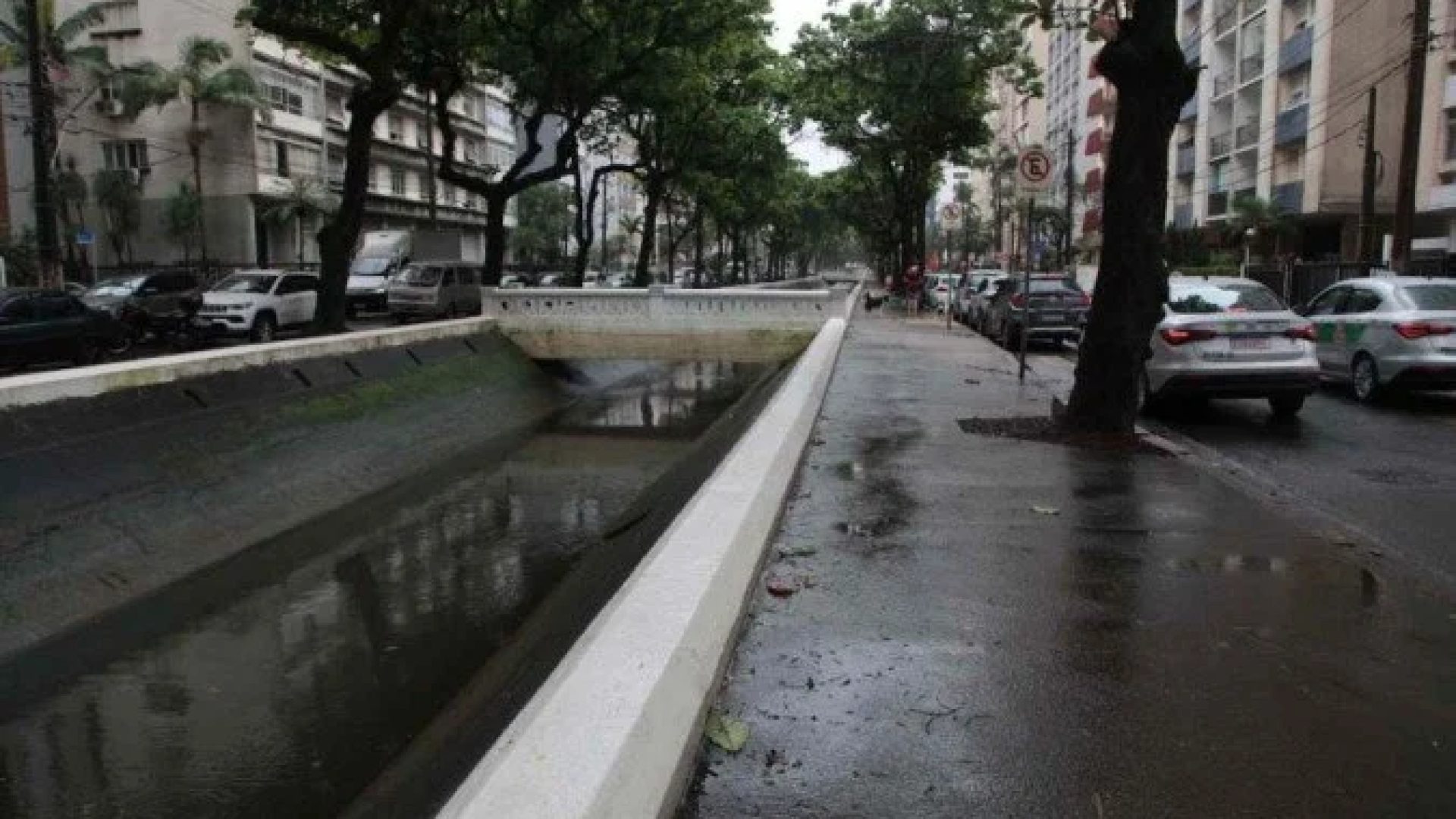 Um homem, de aproximadamente 40 anos, foi vítima de um atropelamento e arremessado para dentro de um canal na manhã deste domingo (2/11), no bairro Boqueirão, em Santos (SP). O fato ocorreu por volta das 8h30 na Avenida Washington Luís, no sentido praia-centro -  (crédito: Isabela Carrari/Reprodução: Prefeitura de Santos)
