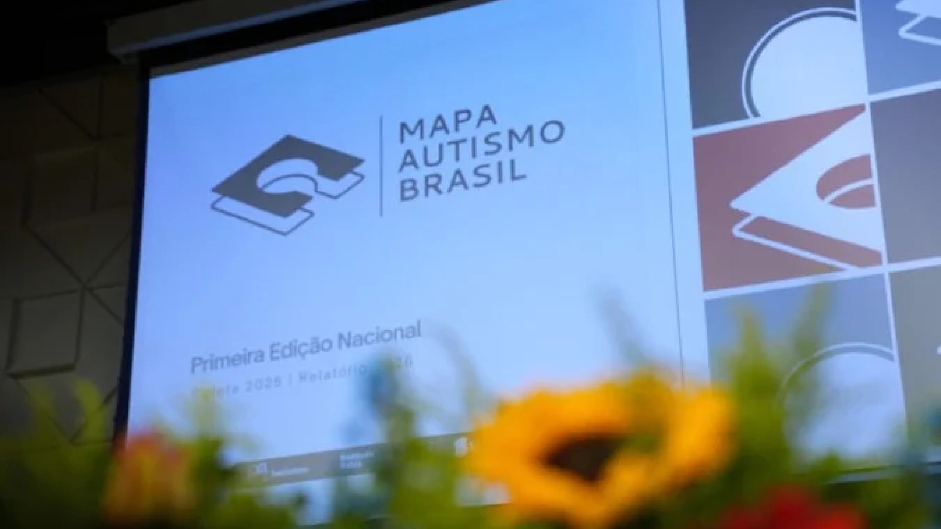 Apenas 20,4% das pessoas autistas revelam ter recebdo o diagnóstico pelo SUS -  (crédito: Mapa Autismo Brasil/Divulgação)