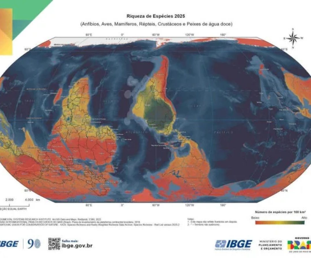 Novo mapa invertido do IBGE traz Brasil no centro do mundo e indicador de diversidade de espécies -  (crédito: Divulgação IBGE)