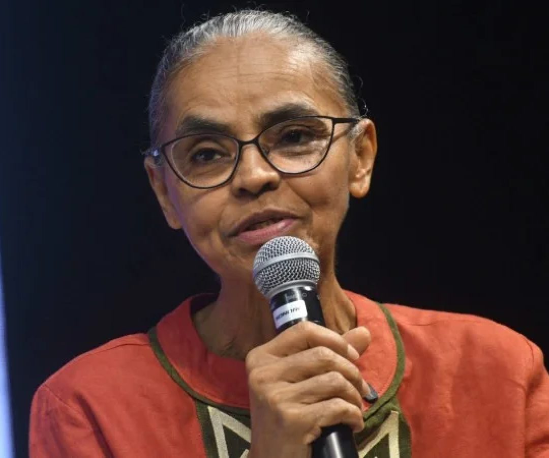 Segundo a ministra, o desmatamento no Brasil caiu 32% desde 2022 devido ao endurecimento da fiscalização pelo governo federal -  (crédito:  Ed Alves CB/DA Press)