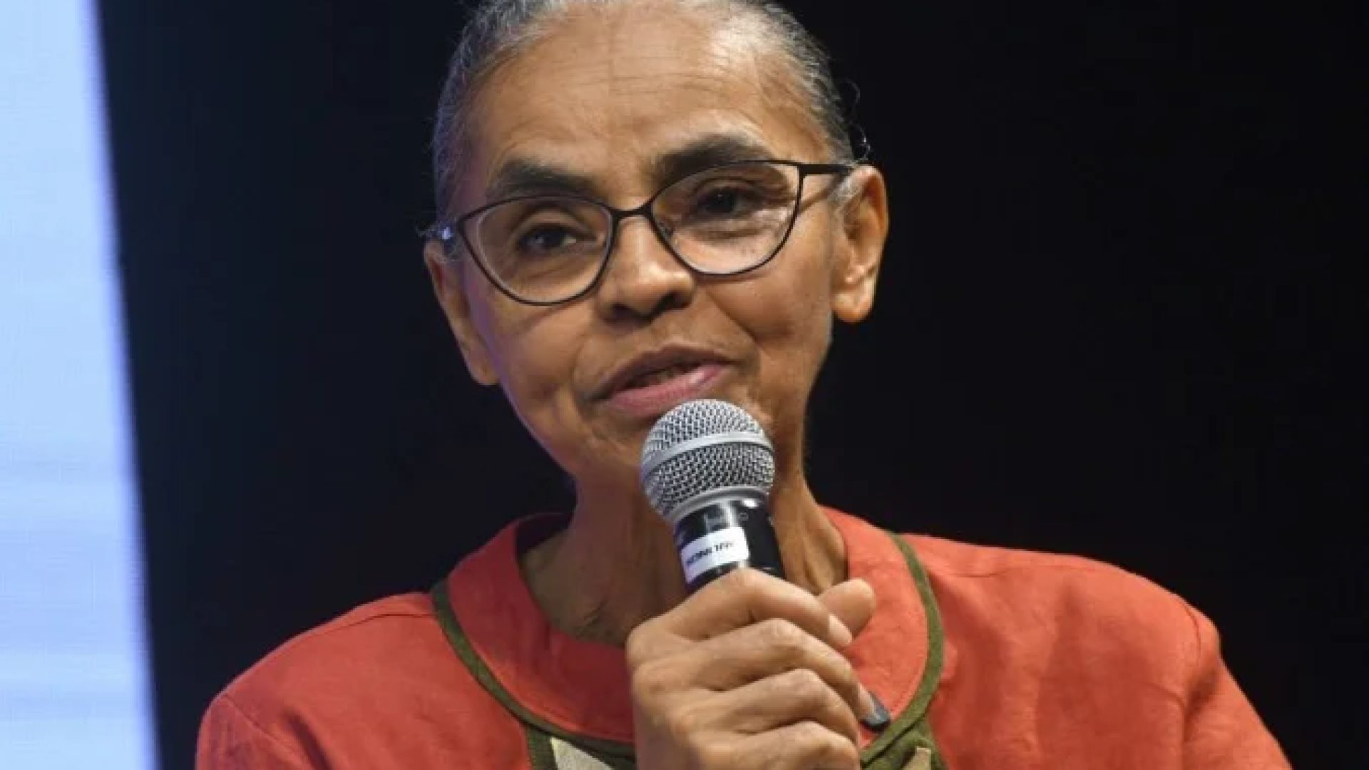 Segundo a ministra, o desmatamento no Brasil caiu 32% desde 2022 devido ao endurecimento da fiscalização pelo governo federal -  (crédito:  Ed Alves CB/DA Press)