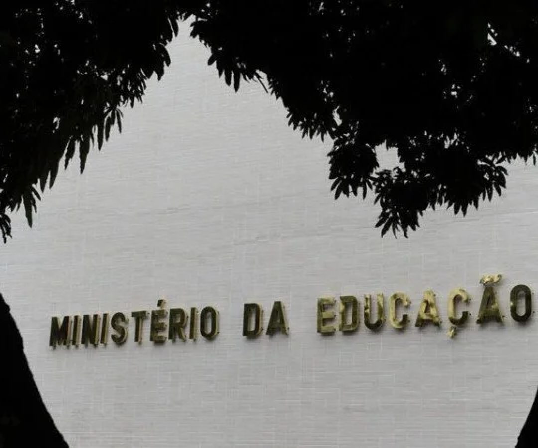 Uma das novidades, o MEC Livros, funcionará como uma biblioteca virtual com cerca de 8 mil obras disponíveis. -  (crédito: Flickr - Senado Federal)