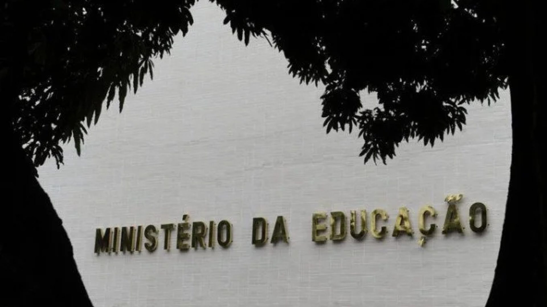 Uma das novidades, o MEC Livros, funcionará como uma biblioteca virtual com cerca de 8 mil obras disponíveis. -  (crédito: Flickr - Senado Federal)