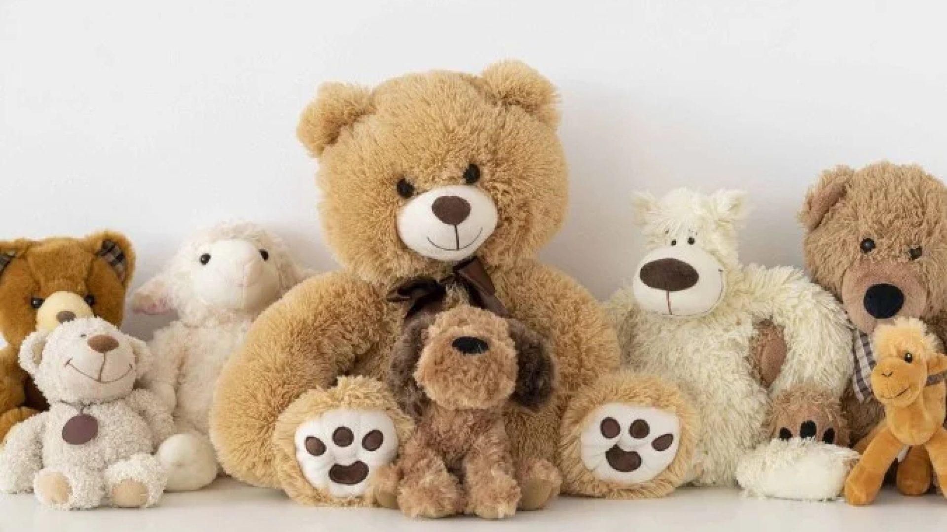 Operação Plush tem o objetivo de desarticular um esquema de lavagem de dinheiro da facção Primeiro Comando da Capital utilizando lojas de brinquedos -  (crédito: Reprodução/Freepik)