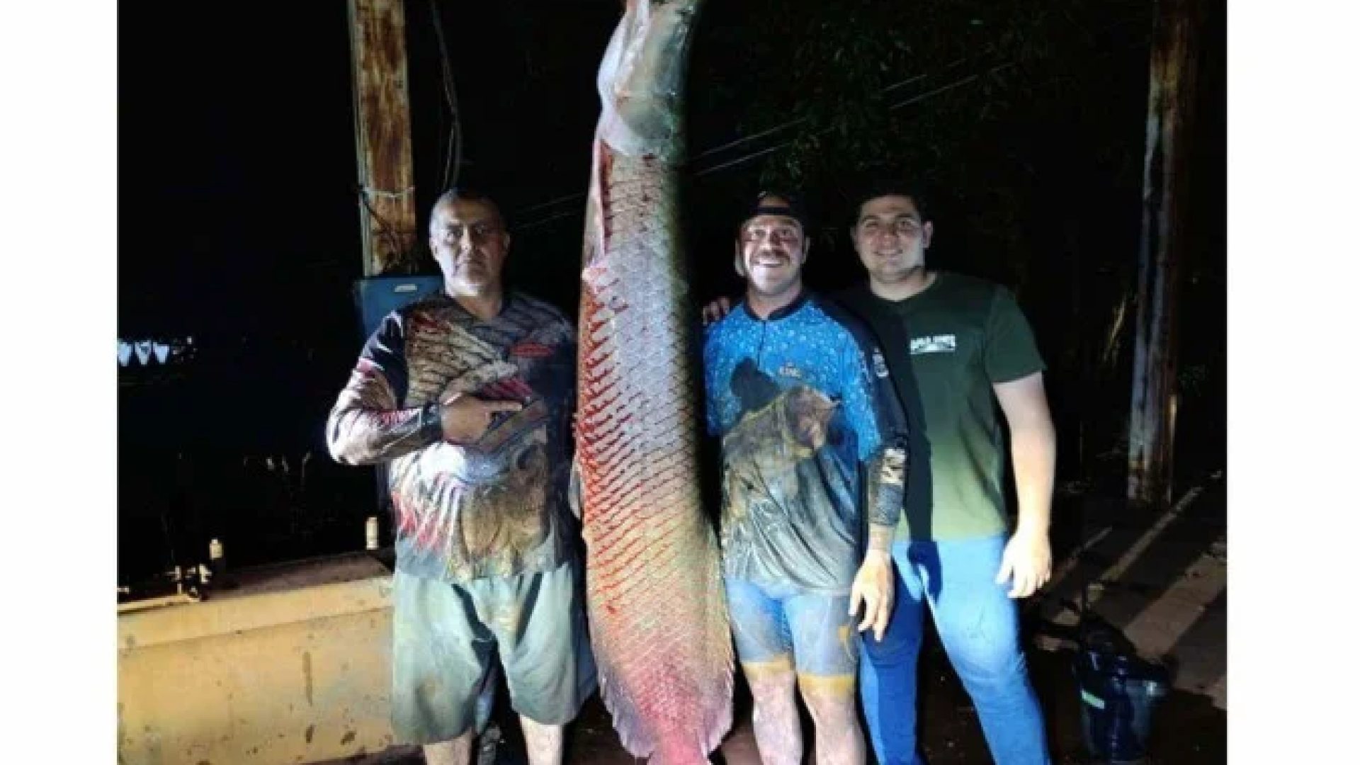 Pescadores mineiros fisgam no Rio Grande pirarucu de 2,07 metros e 124 kg -  (crédito: Arquivo pessoal/divulgaÃ§Ã£o)