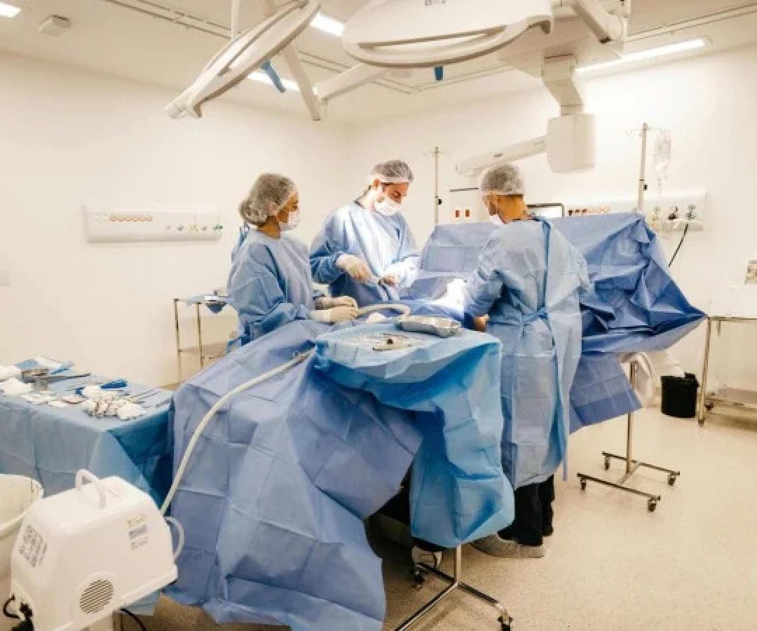 O médico também não pode ser obrigado a seguir recomendações da IA de forma automática -  (crédito: Pexels)