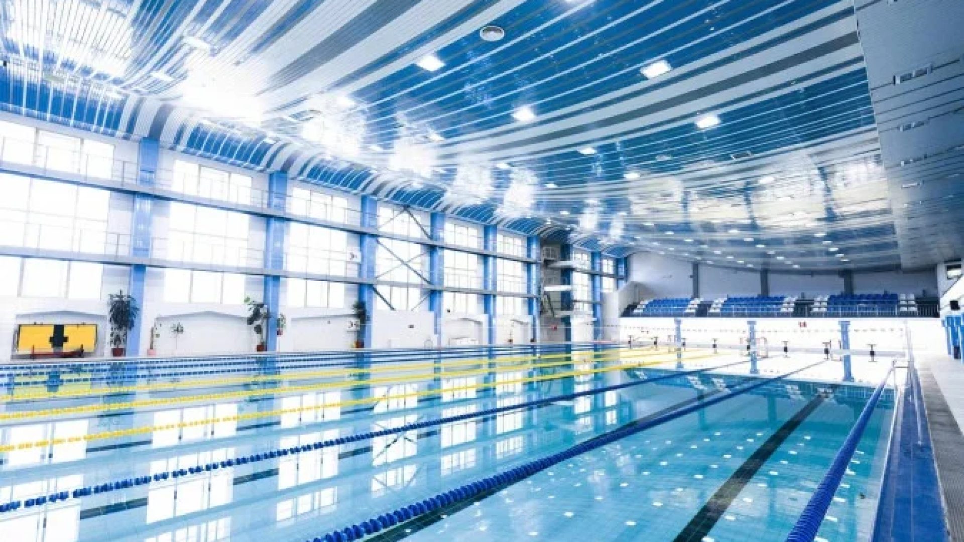 A investigação está a cargo do 42º DP (Parque São Lucas), segundo informações da Secretaria de Segurança Pública do Estado de São Paulo (SSP). Imagem meramente ilustrativa -  (crédito: Reprodução/Freepik)