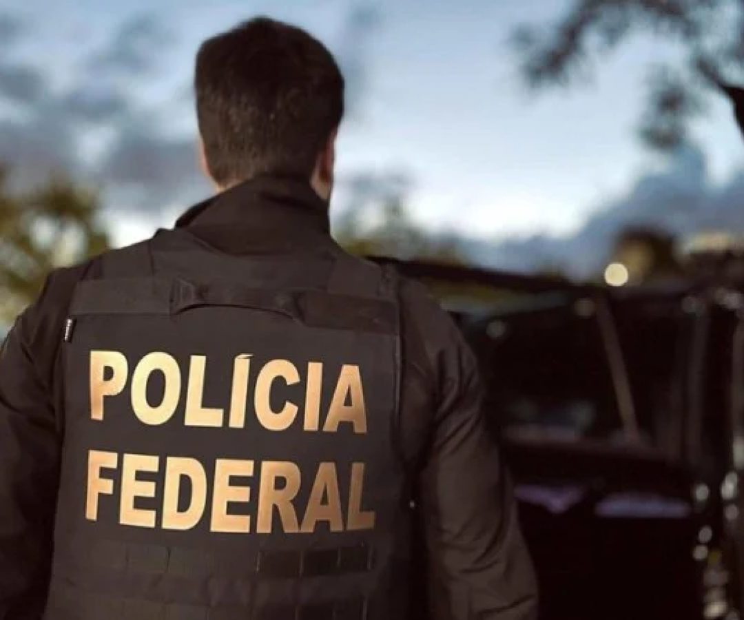 PF deflagra 3ª fase da Operação Fake Agents contra fraudes em saques de FGTS -  (crédito: Polícia Federal )