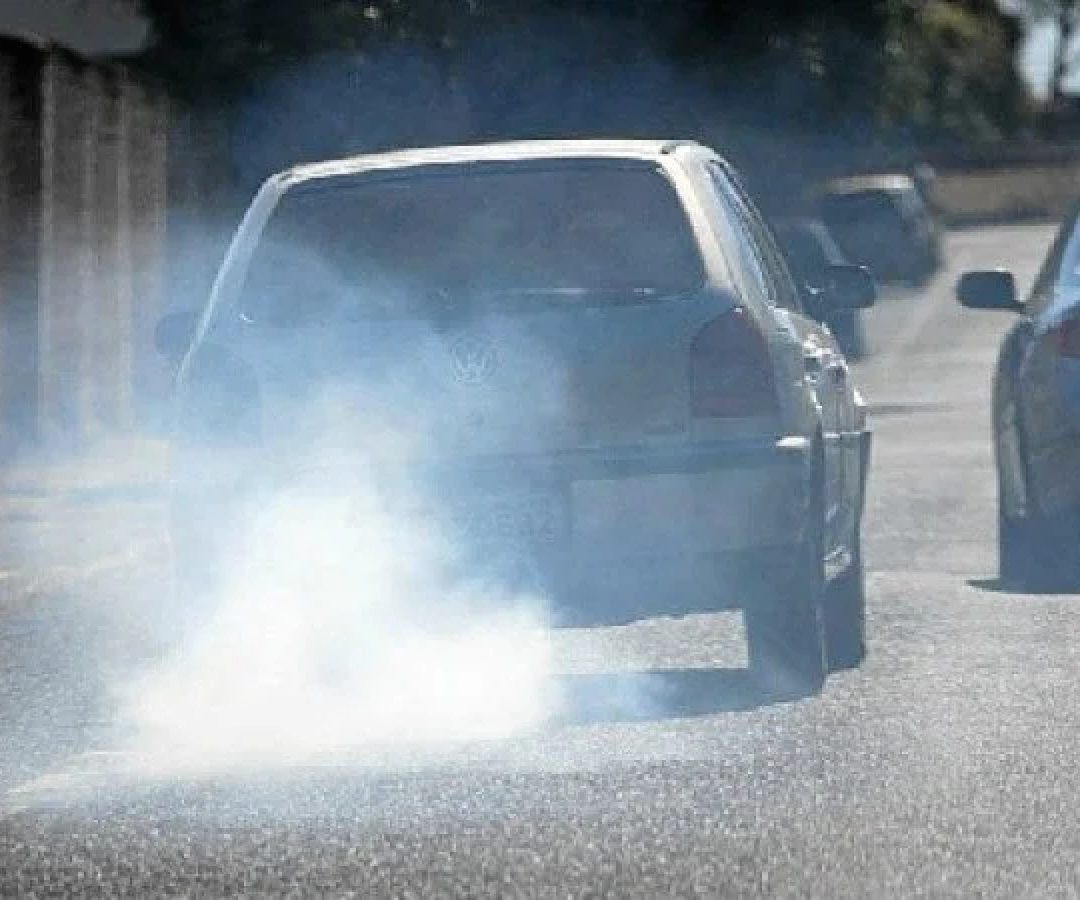 Embora reconheçam os avanços no combate ao desmatamento, organizações ambientalistas criticam o leve aumento das emissões do setor agropecuário e da geração de energia no país -  (crédito: Reprodução)