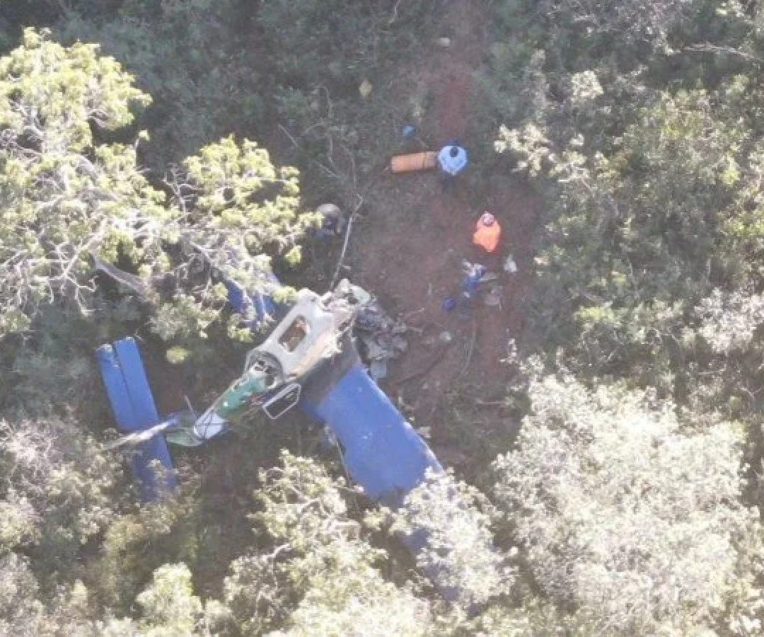 Aeronave que pulverizava canavial caiu em mata às margens da BR-365, em João Pinheiro (MG), no Noroeste do estado -  (crédito: Divulgação/ CBMMG)